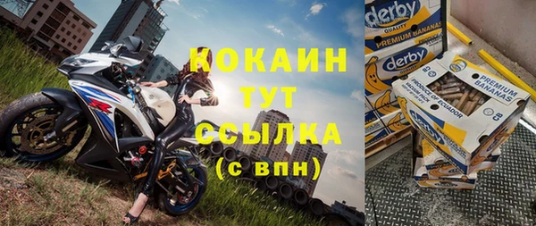 амф Алексин