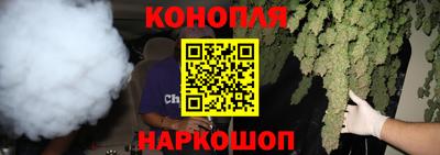 шишки Коммунар