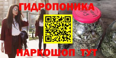 шишки Коммунар