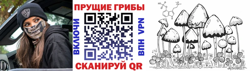 Галлюциногенные грибы прущие грибы закладки Ирбит