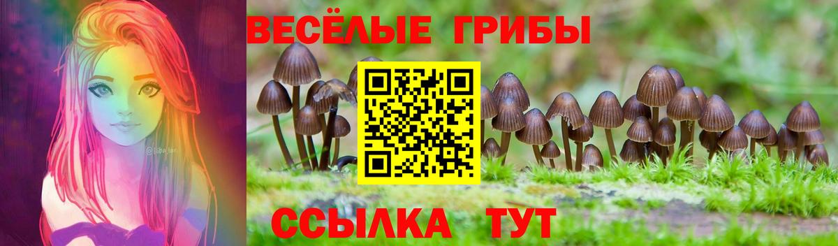 магазин  наркотиков  Вход с VPN  Галлюциногенные грибы Magic Shrooms  Ирбит  Галлюциногенные грибы MAGIC MUSHROOMS 